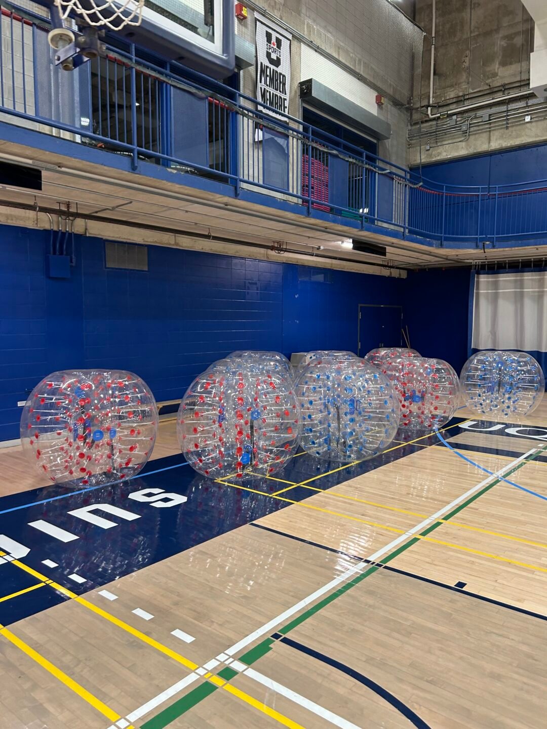 Des bulles de soccer gonfl&eacute;es et align&eacute;es sur le parquet d'un gymnase aux murs bleus&nbsp;: de grandes sph&egrave;res transparentes piqu&eacute;es de pastilles rouges ou bleues, dont on distingue les sangles et les poign&eacute;es &agrave; l'int&eacute;rieur, avec un panier de basketball et une mezzanine &agrave; l'arri&egrave;re-plan