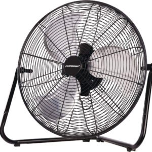 Fan