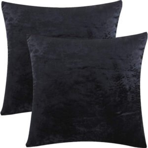 Coussin décoratif