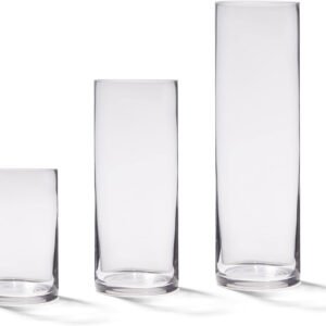 Vases Cylindrique (10 pouces)