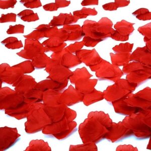 Pétale de Fleur Rouge (lot de 100)