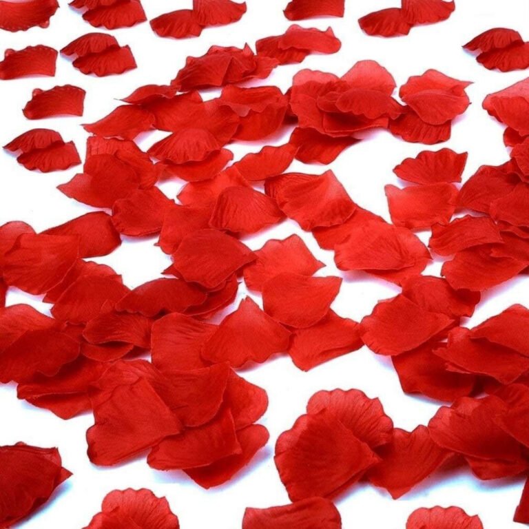 P&eacute;tales de rose rouges