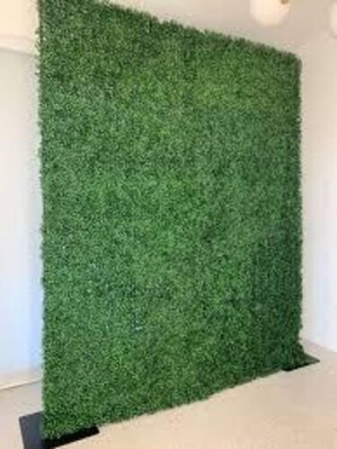 Mur de feuillage vert dense dresse contre un mur blanc, tenu debout par deux pieds de metal noir poses au sol